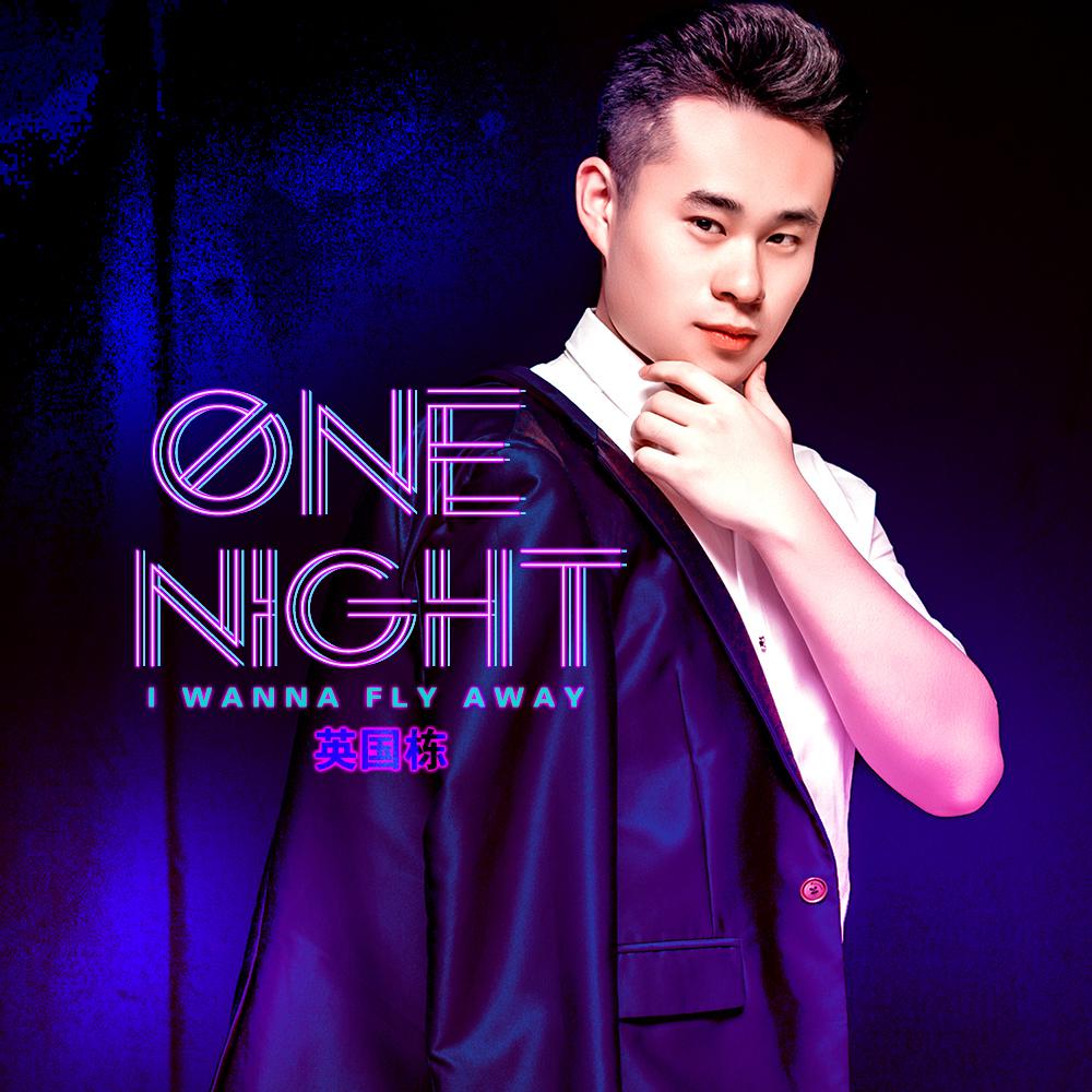 one night专辑