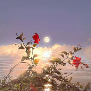 「Hip-pop」击破你的甜蜜防线