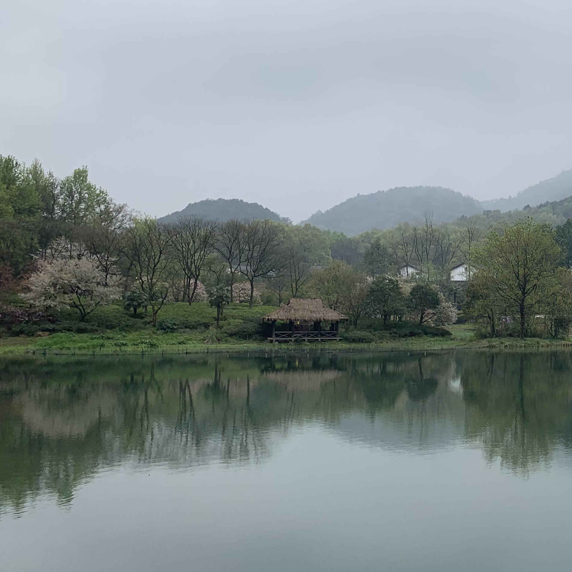 云鹤山居专辑