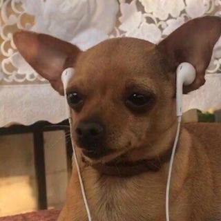 霓虹灯下霓虹巾