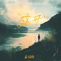 盛开专辑