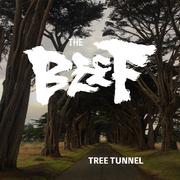 柏樹隧道TREE TUNNEL