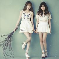 Davichi-乌龟