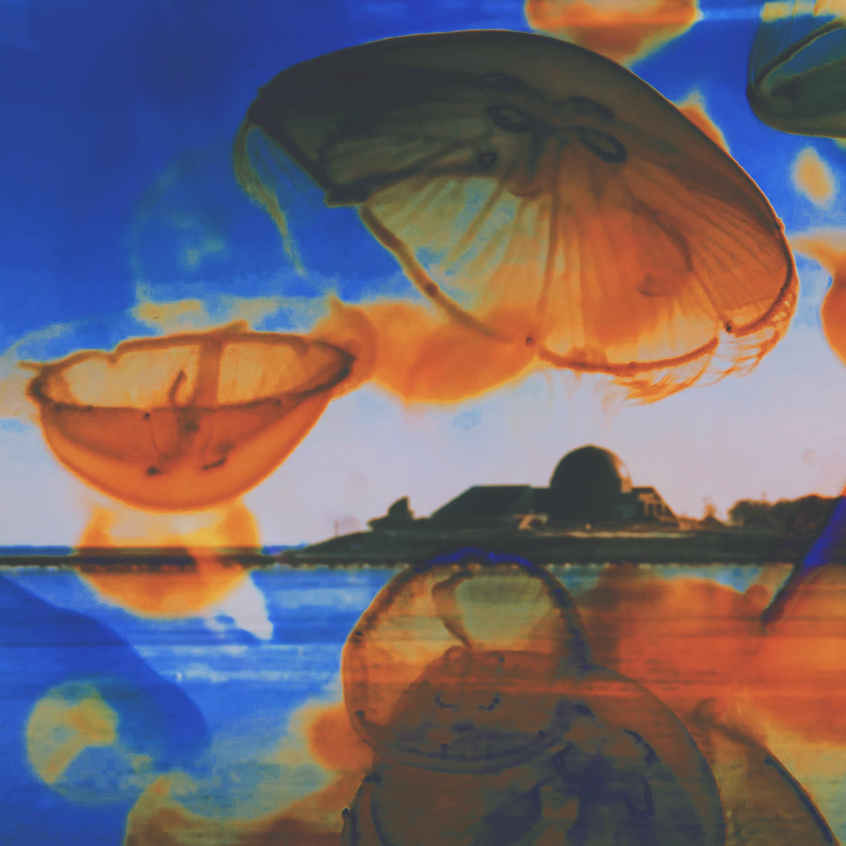 还我的生活给我