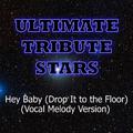 Pitbull feat. T-Pain - Hey Baby (Drop It To The Floor) (Vocal Melody Version)