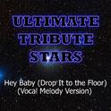 Pitbull feat. T-Pain - Hey Baby (Drop It To The Floor) (Vocal Melody Version)专辑