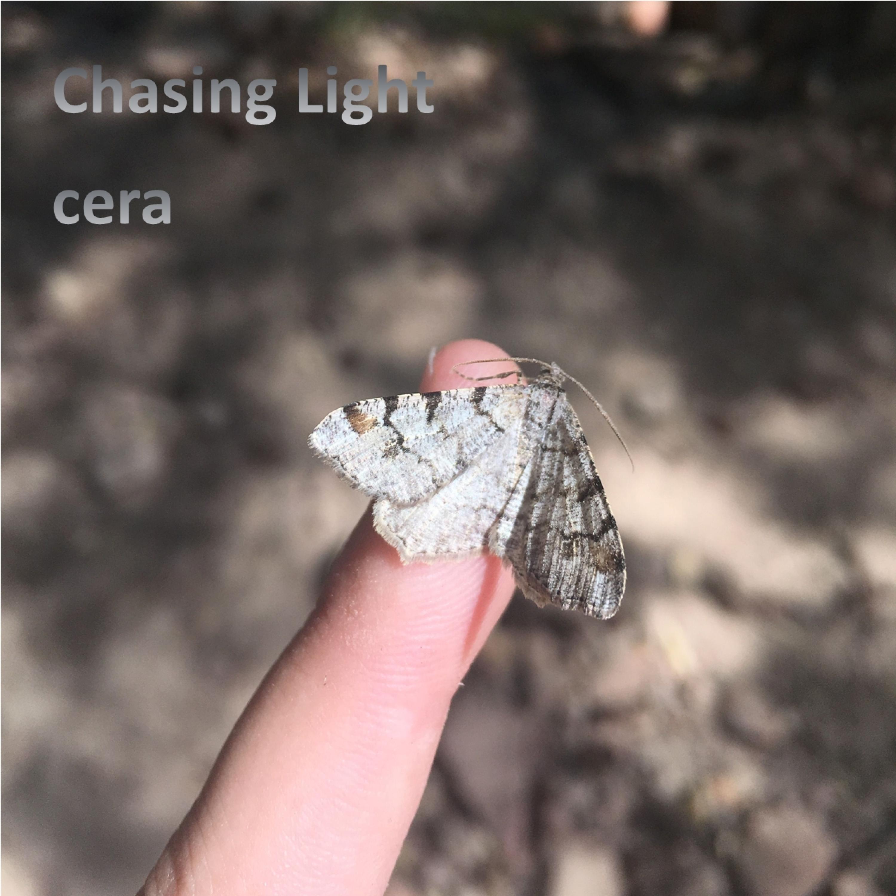 Chasing Light