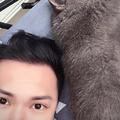 牙肉冰淇淋