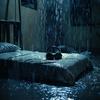 Sleeping Voyage - Night Rain Beats Echo