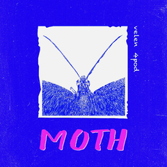 飞蛾Moth