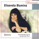 Elisaveta Blumina. Brahms专辑