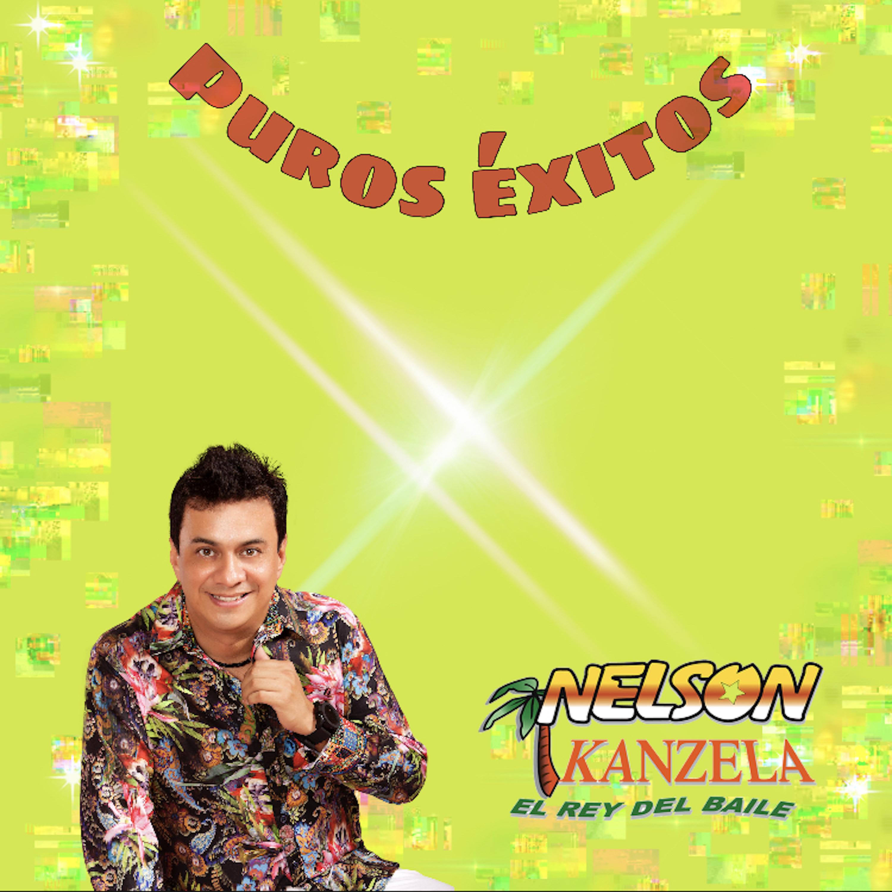Puros Éxitos