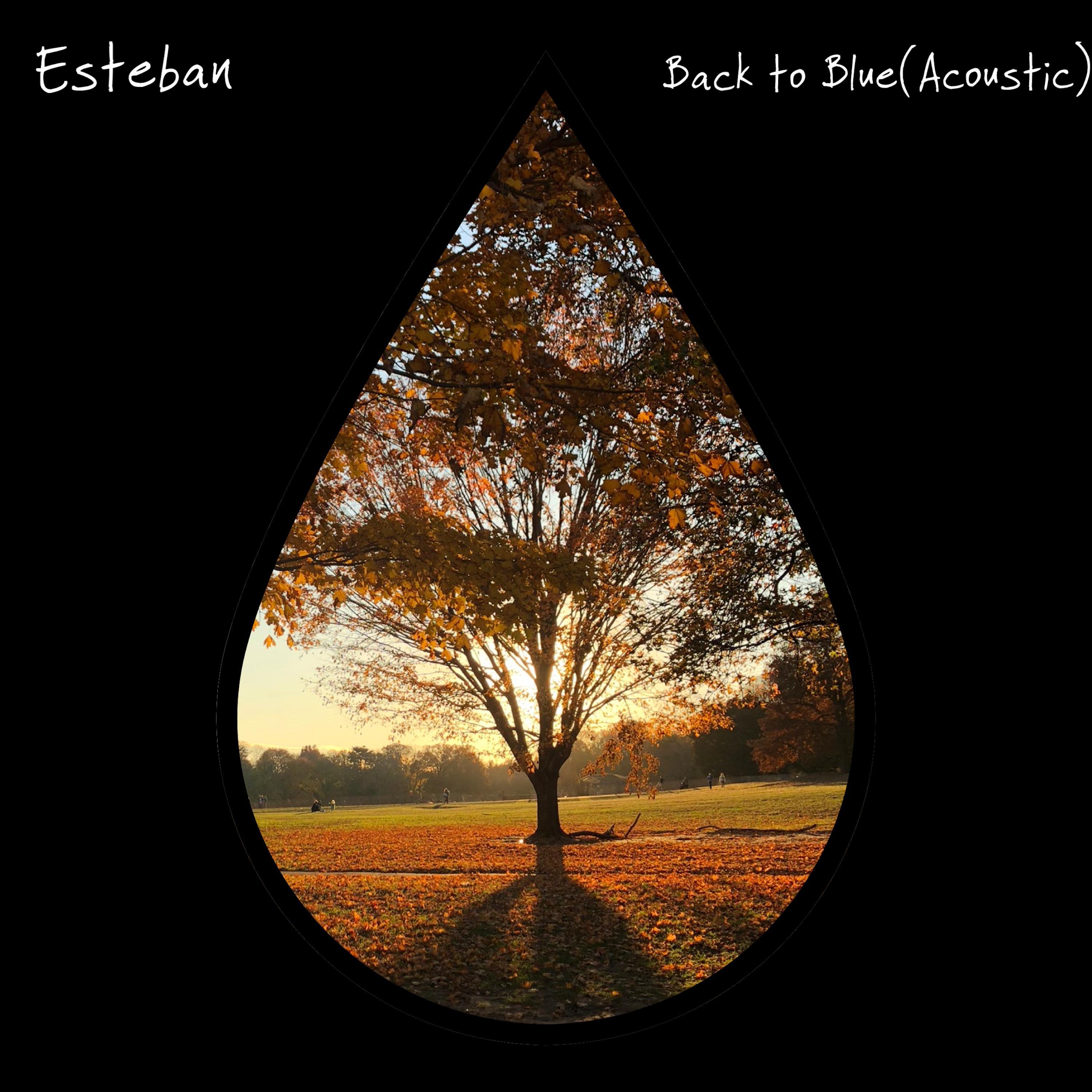 Esteban - Back to Blue (Acoustic Version)