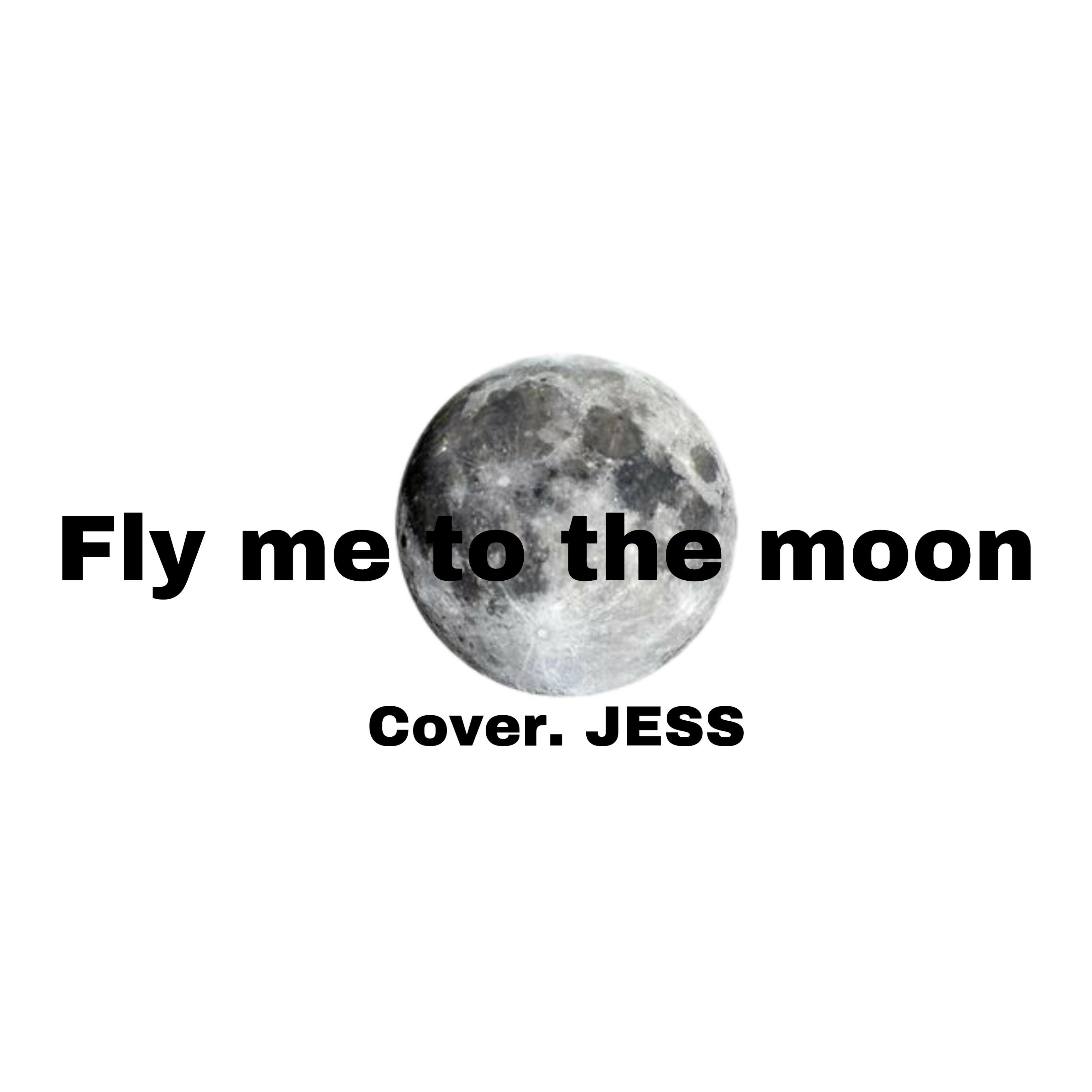 Fly me to the moon