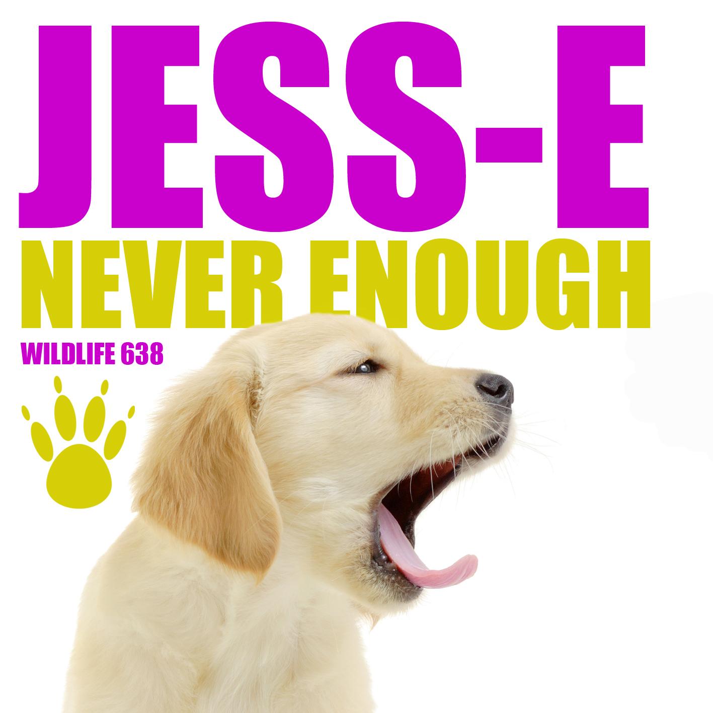 Never Enough