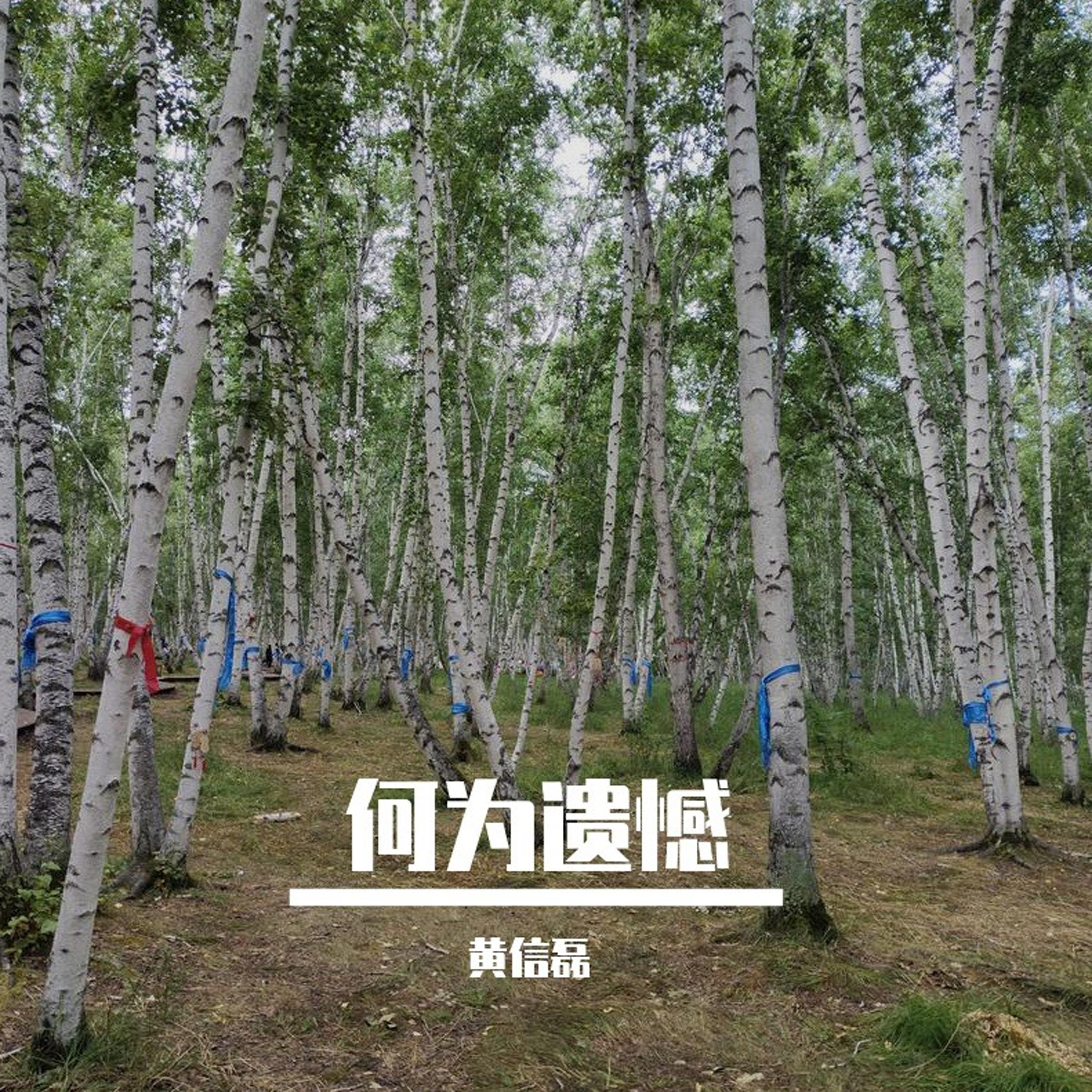 何为遗憾