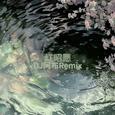 红昭愿 (DJ阿布Remix)