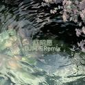 红昭愿 (DJ阿布Remix)专辑