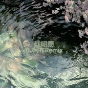红昭愿 (DJ阿布Remix)