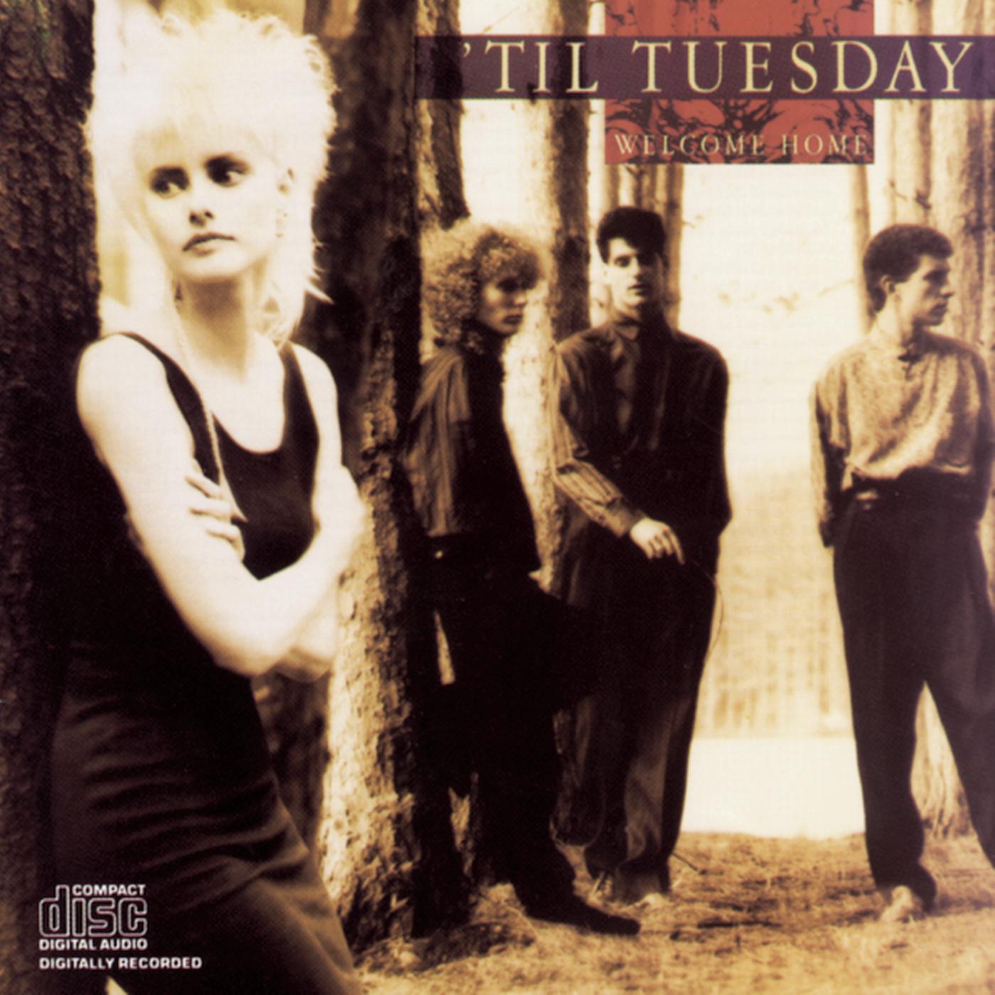 'Til Tuesday - Angels Never Call