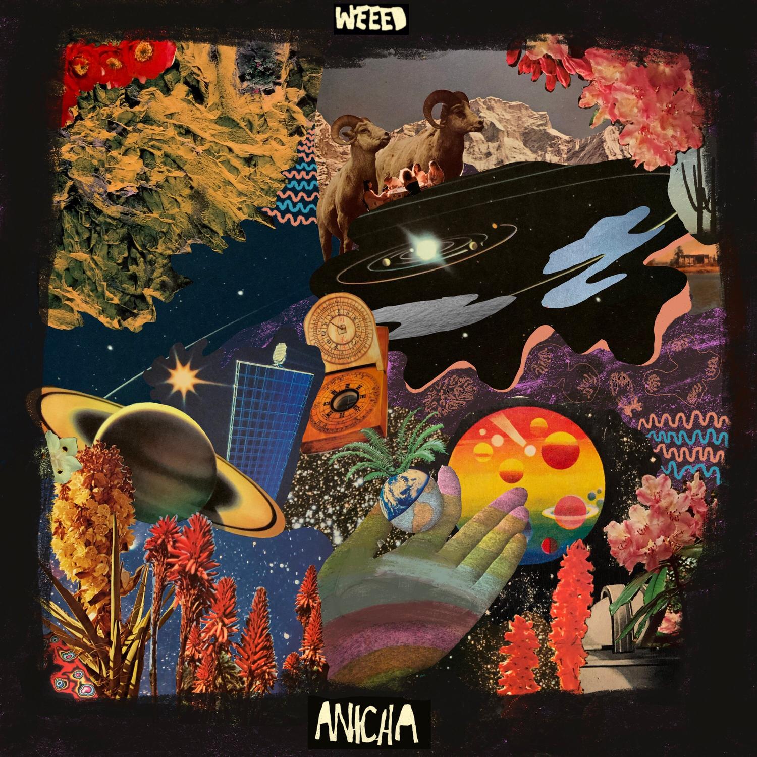 Anicha