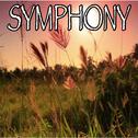 Symphony - Tribute to Clean Bandit and Zara Larsson专辑