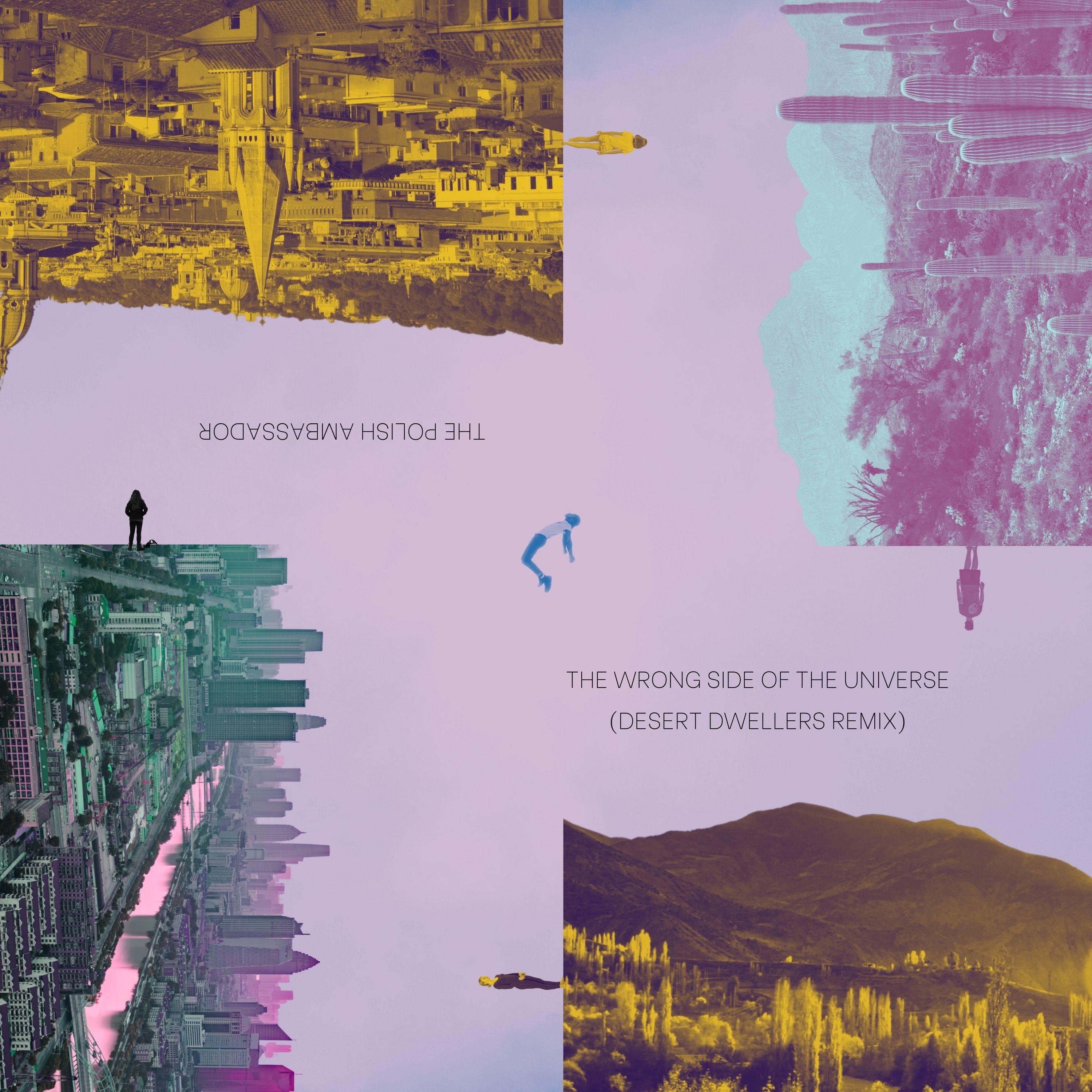 The Wrong Side of the Universe (Desert Dwellers Remix)