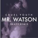 Mr. Watson (BKAYE Remix)专辑