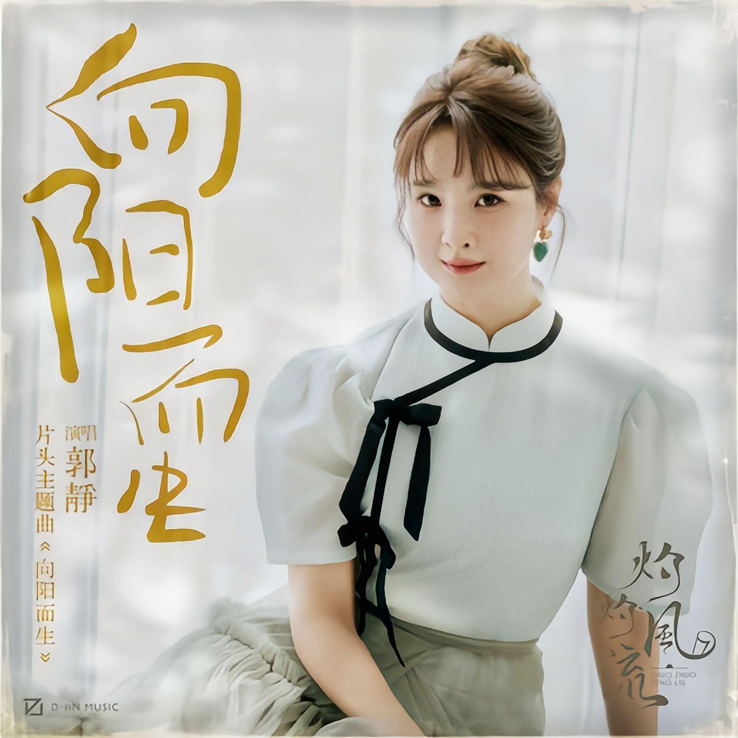 向阳而生（《灼灼风流》电视剧片头主题曲）