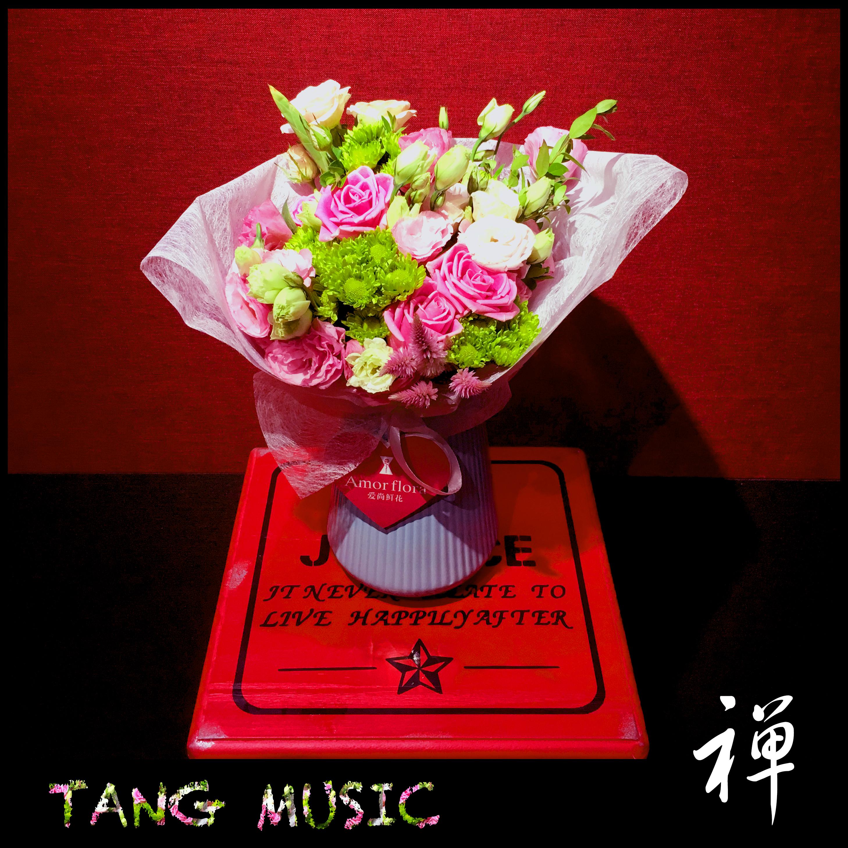 TANG.MUSIC 禅专辑