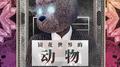 镜花世界的动物专辑