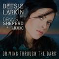Driving Through the Dark (Remixes)