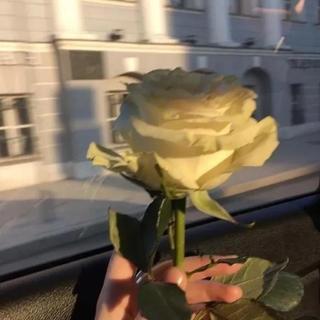 忠于网络 也终于网络