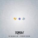 Signals Remixes