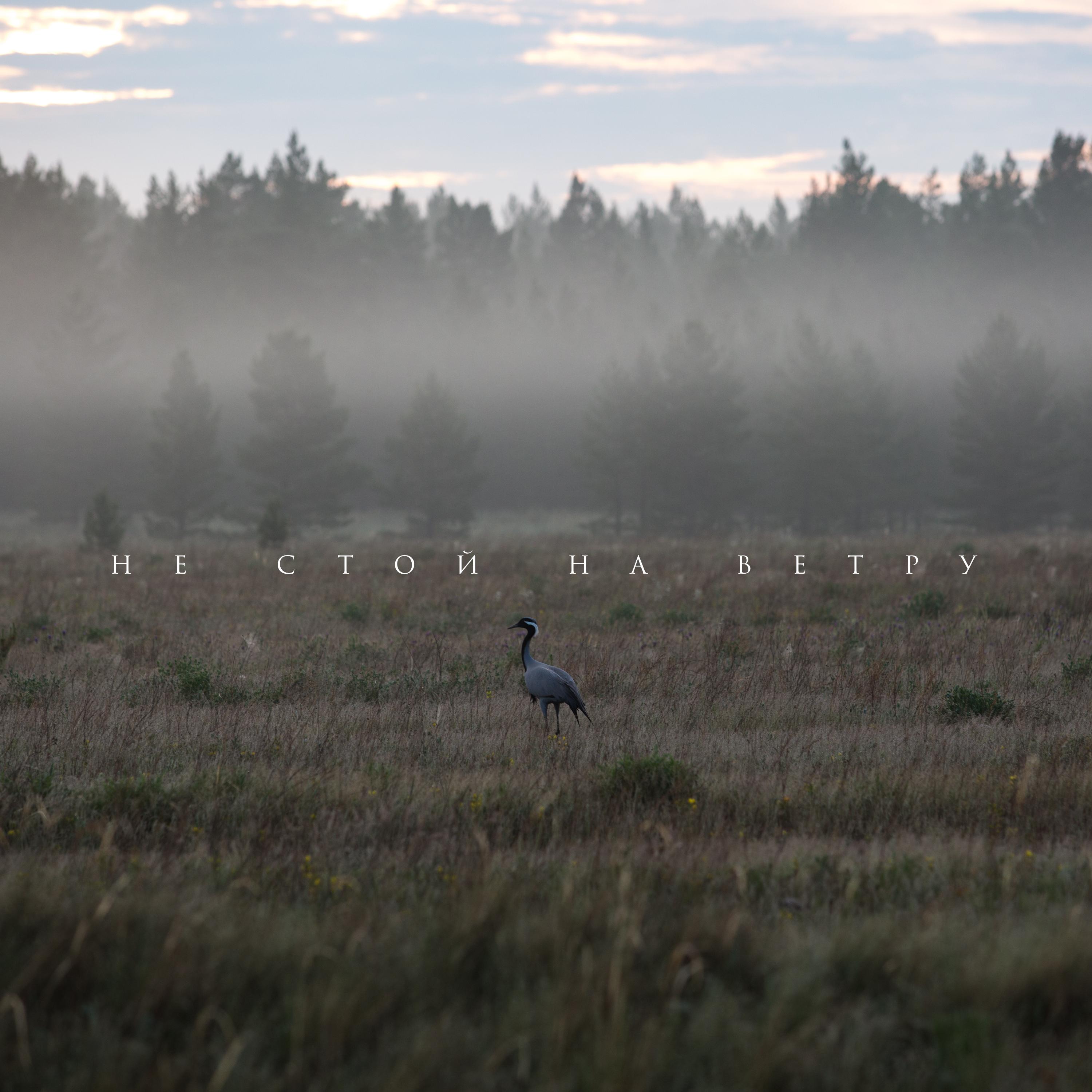 Не стой на ветру