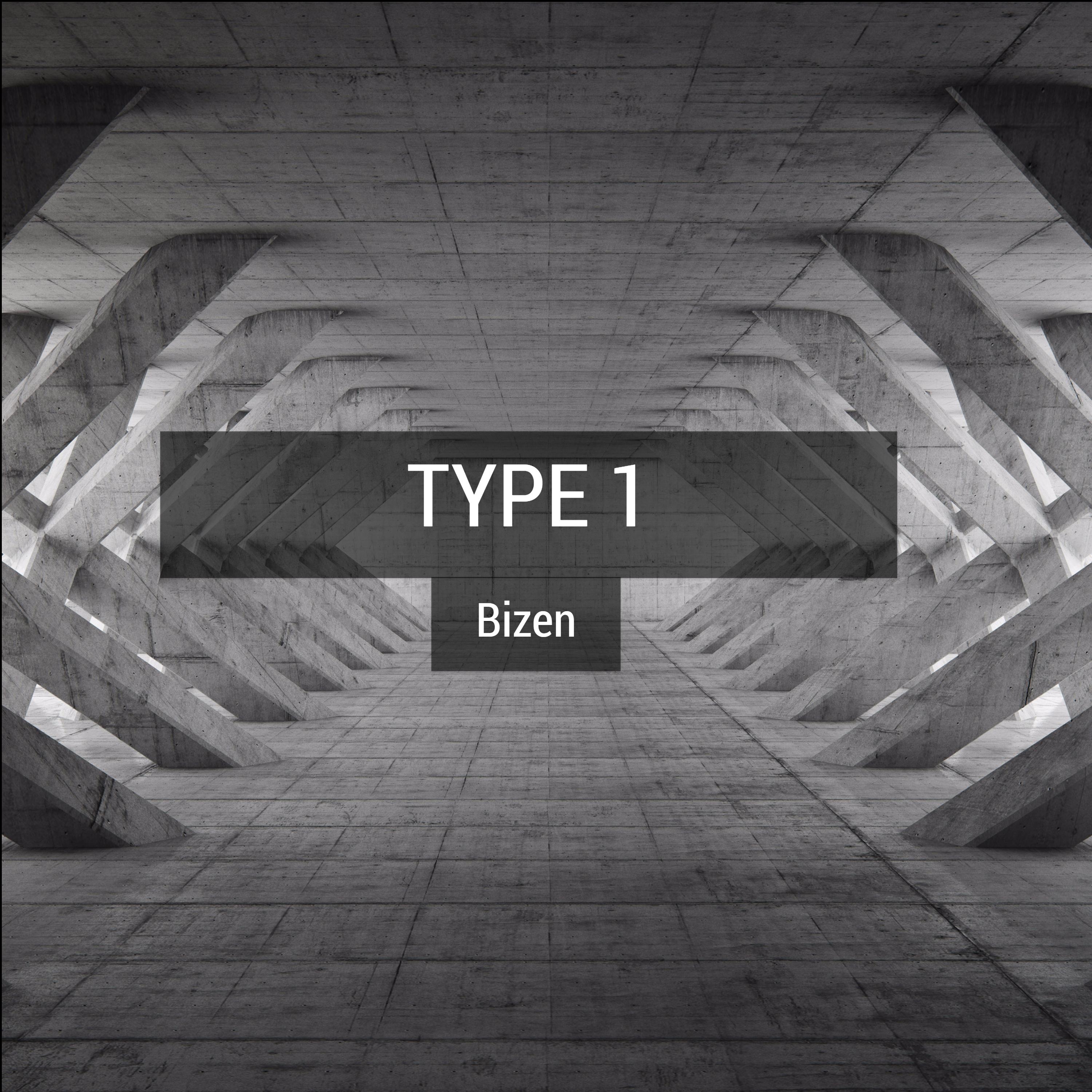 Type 1专辑