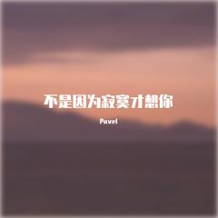 1个球-不是因为寂寞才想你(Pavel REMIX)（Pavel remix）