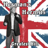 Herman s Hermits - Silhouettes (karaoke)