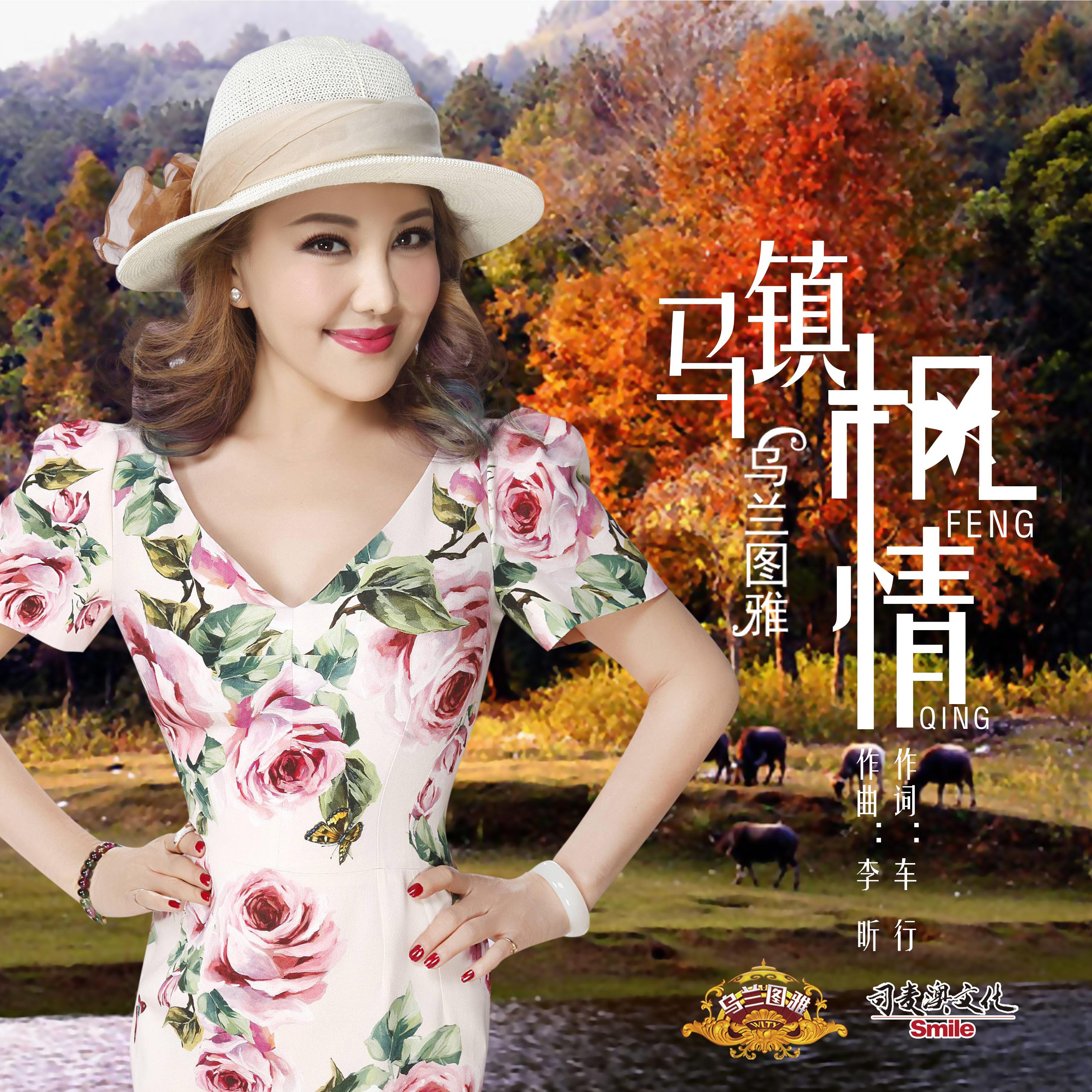马镇枫情