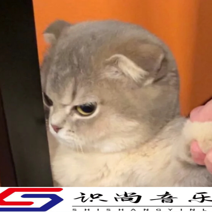 2022年前程似锦