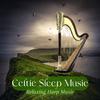 Celtic Harp Soundscapes - Body Soul Spirit Meditation