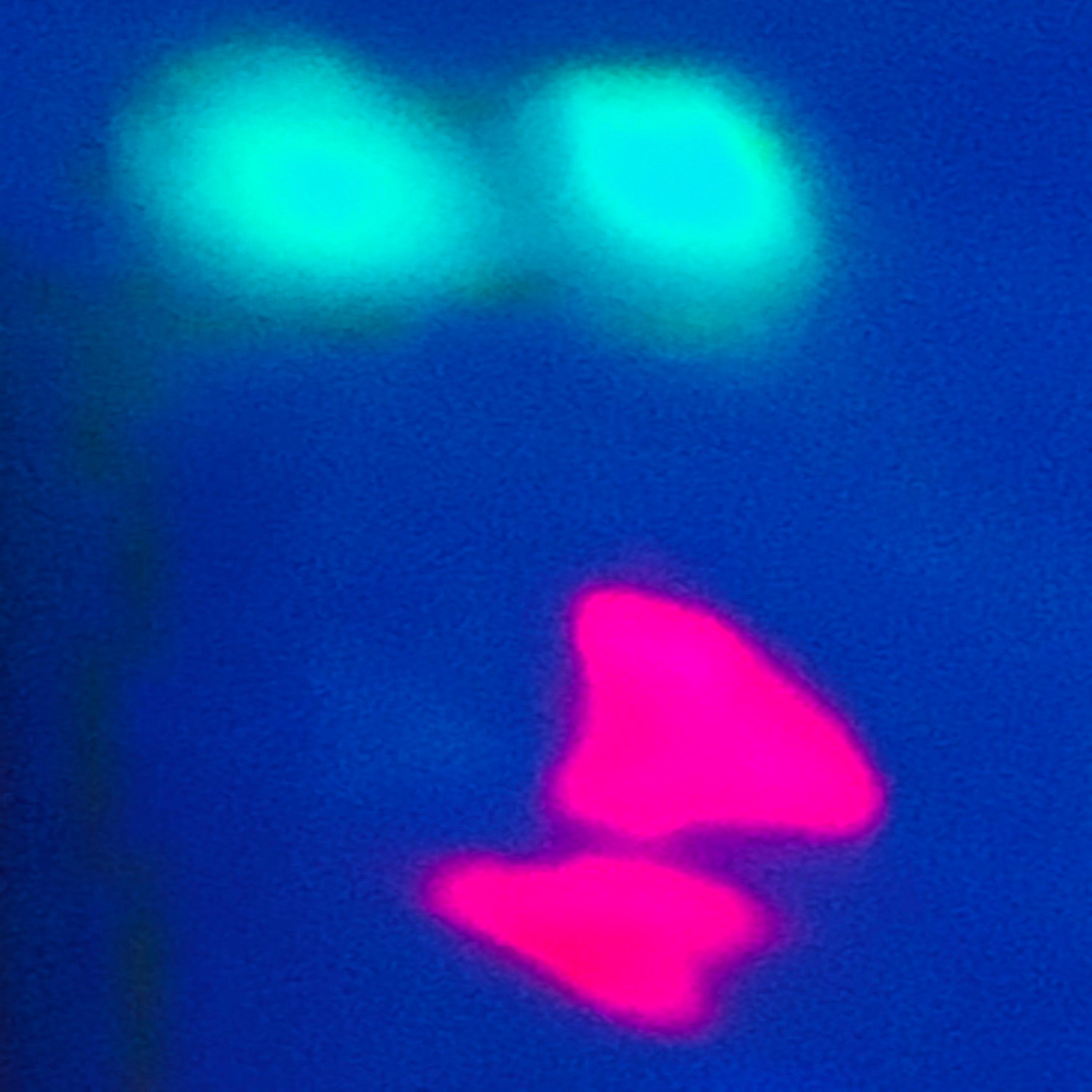 Muk Watches Over Me