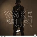 Wake Me Up (Remixes)专辑