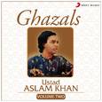 Ghazals, Vol. 2