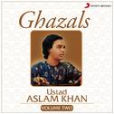 Ghazals, Vol. 2专辑