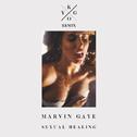 Sexual Healing (Kygo Remix)