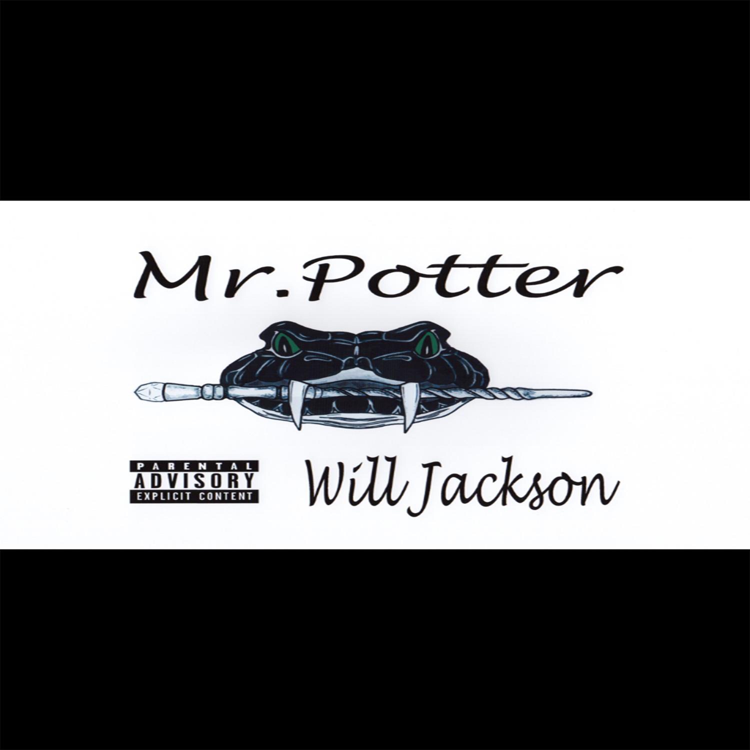 Mr Potter