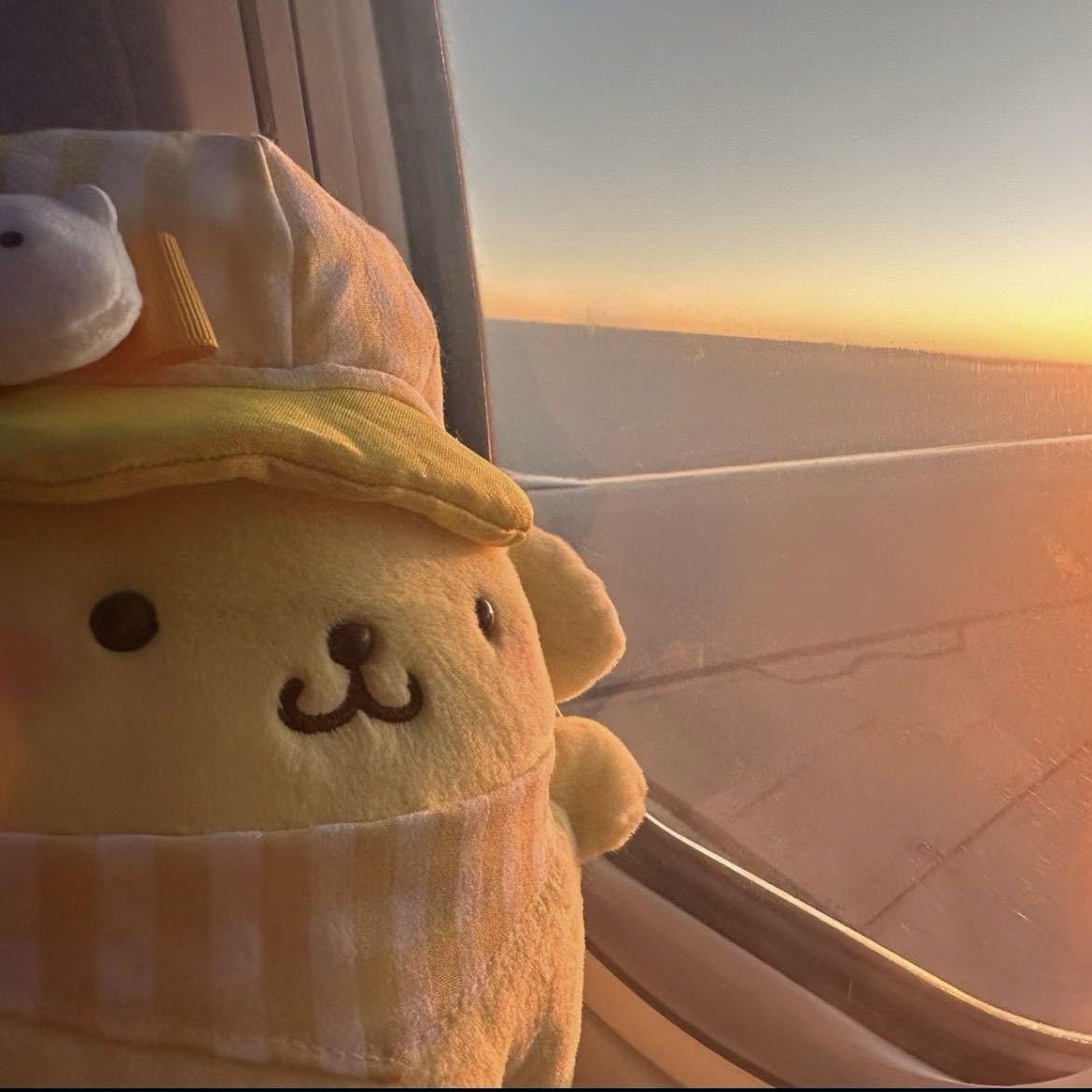 永不失联的爱（cover：单依纯）