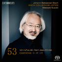 BACH, J.S.: Cantatas, Vol. 53 (Suzuki) - BWV 9, 97, 177专辑