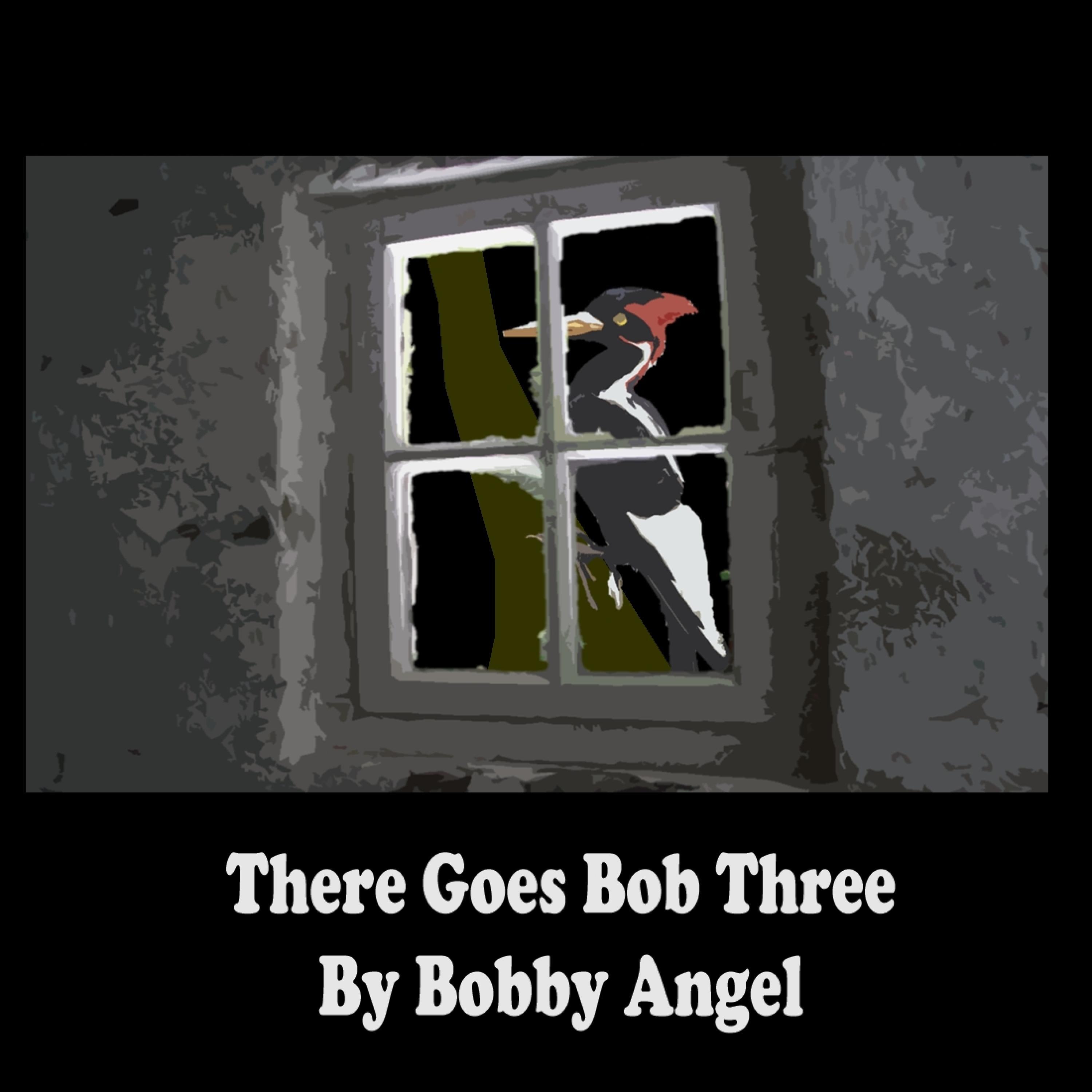 There Goes Bob Three